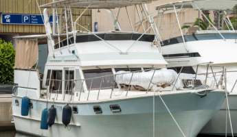 BudgetAir Flight Bookings