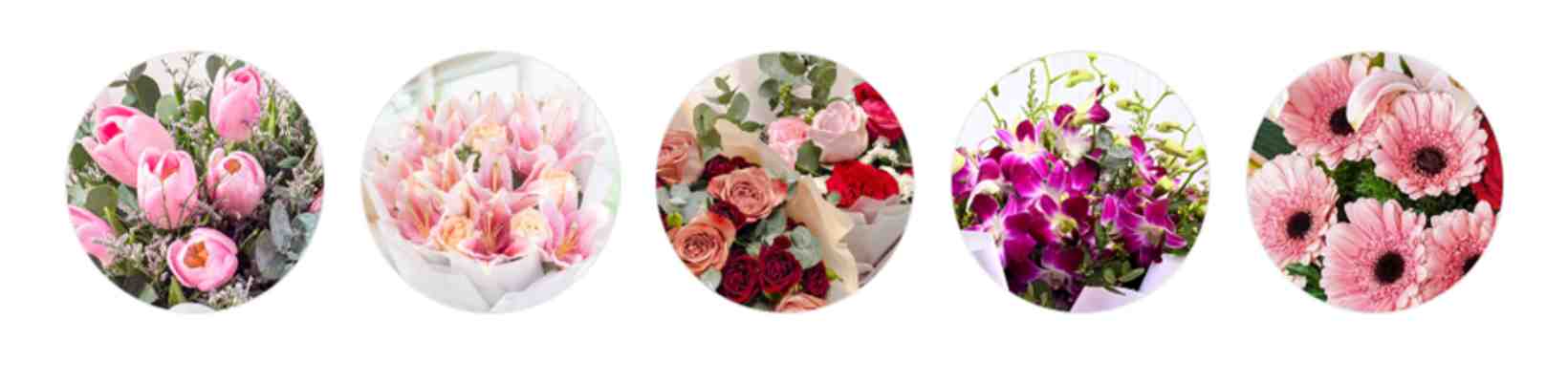 Flower Chimp flower sale